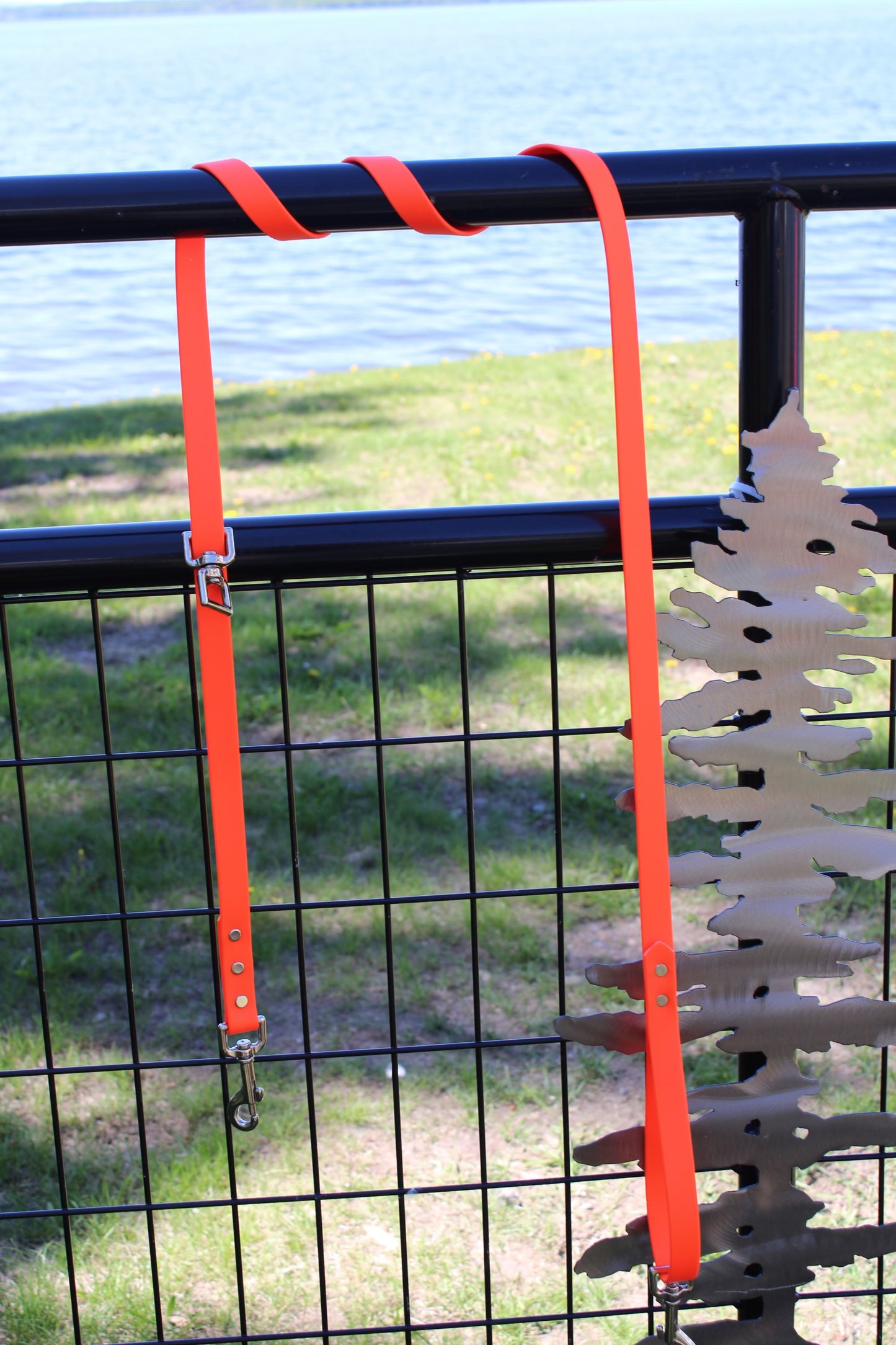 3/4" Biothane Tree Lead