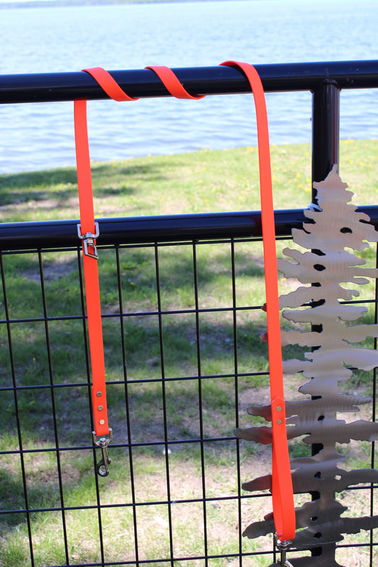 3/4" Biothane Tree Lead