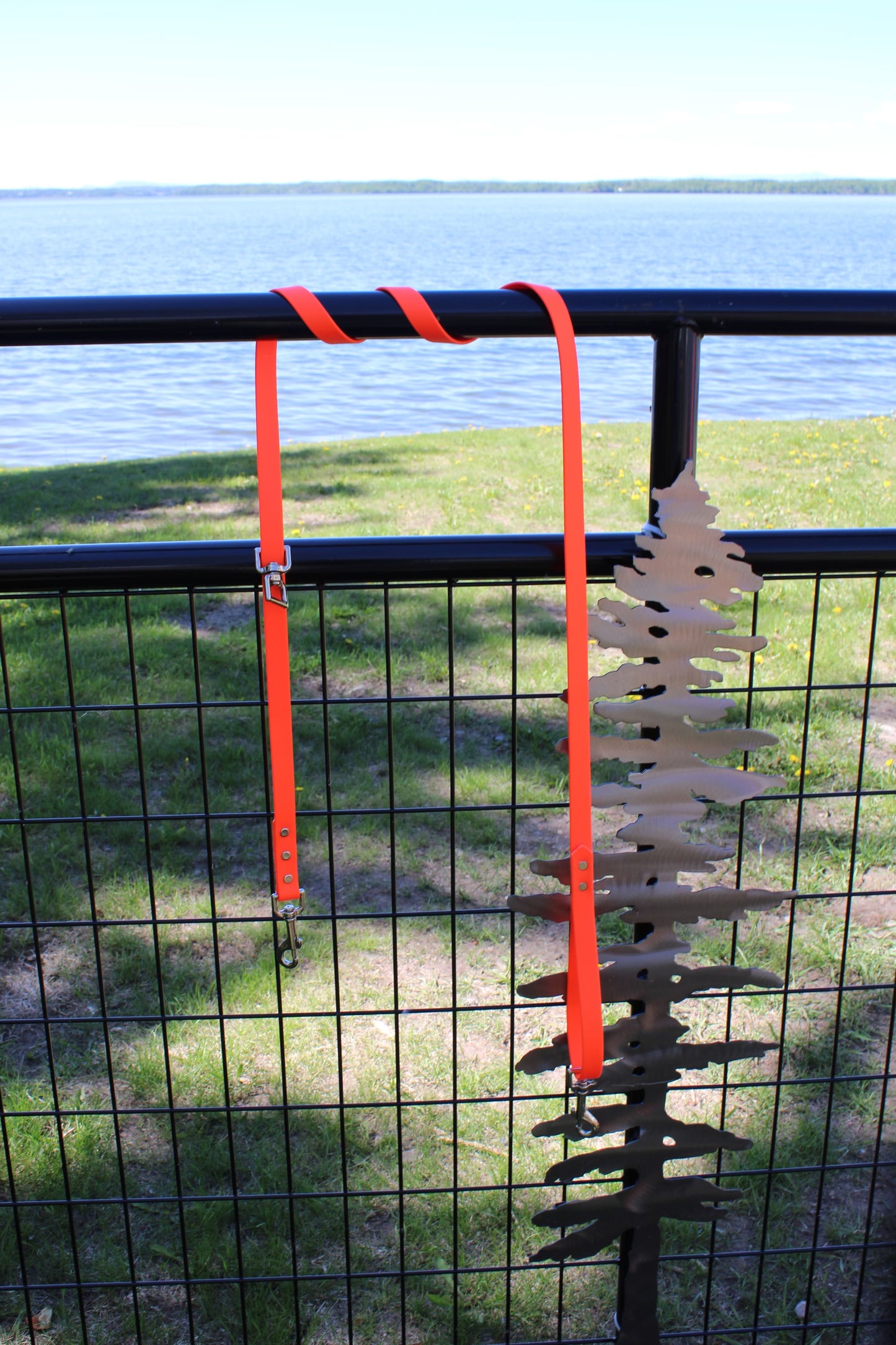 3/4" Biothane Tree Lead