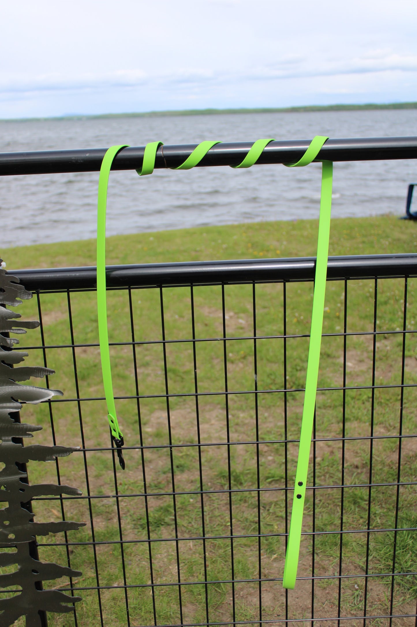 3/4" Basic Biothane  Leash