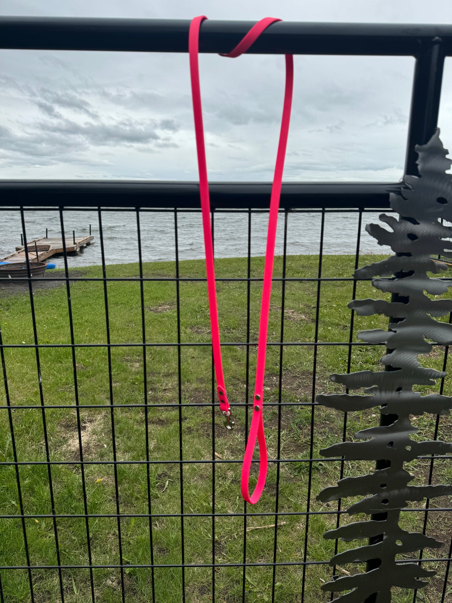 1/2" Basic Biothane Leash