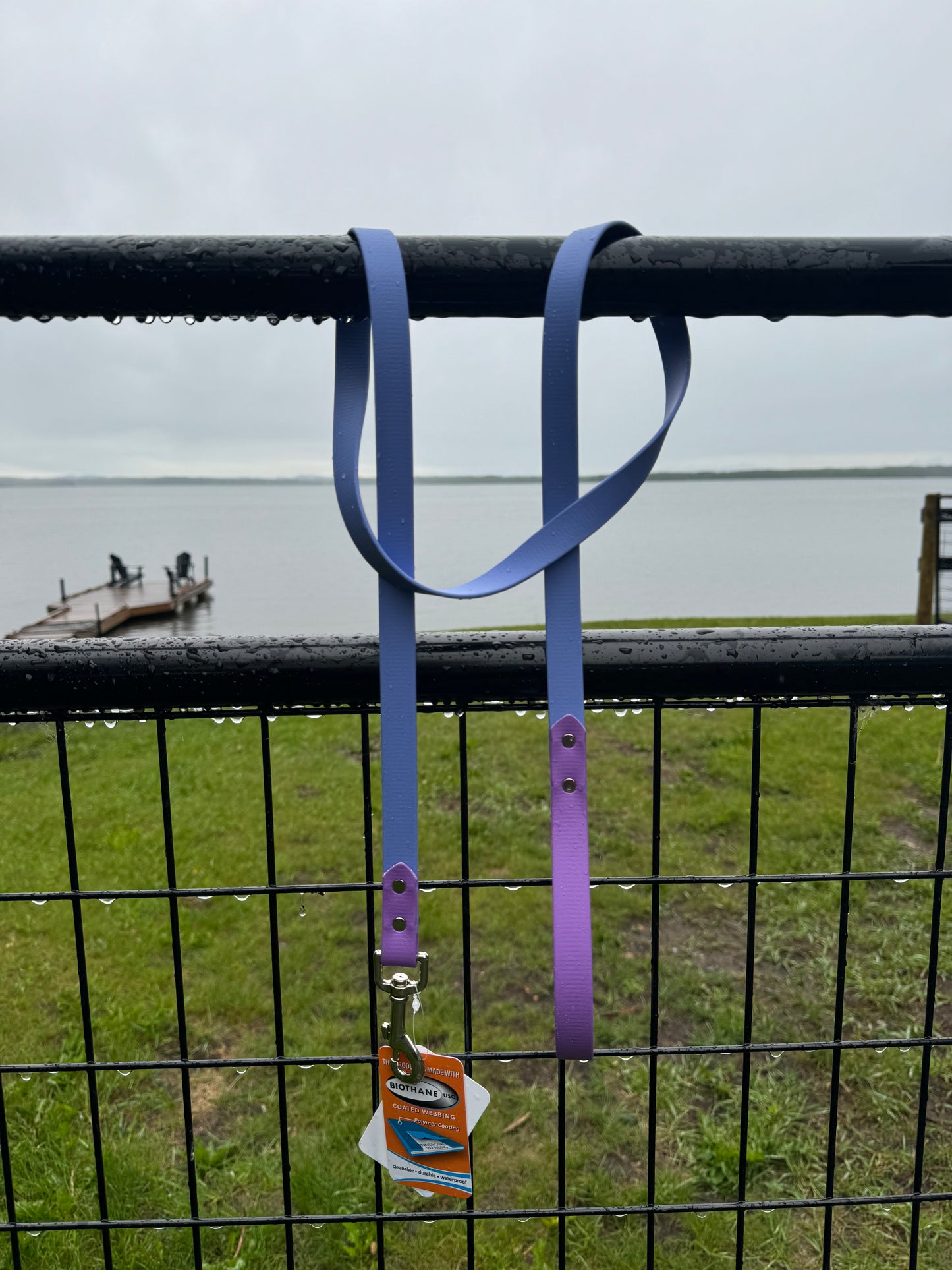 3/4" Deluxe  Biothane Leash