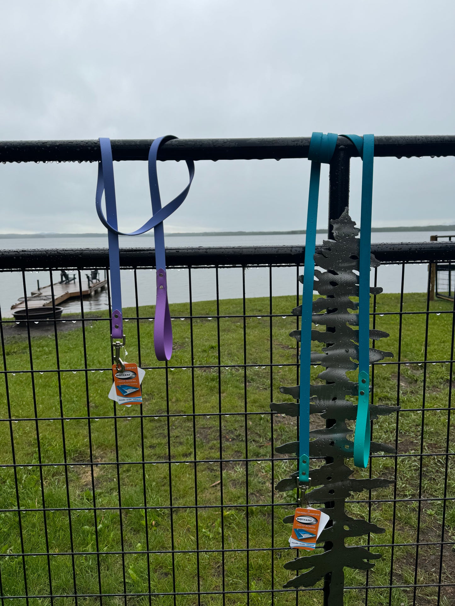 3/4" Deluxe  Biothane Leash